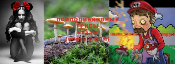 прущая мука Армянск
